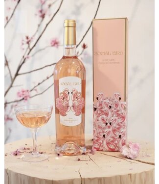 Social Bird Rosé 2024 Côtes de Provence - France