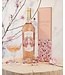 Social Bird Rosé 2024 Côtes de Provence - France