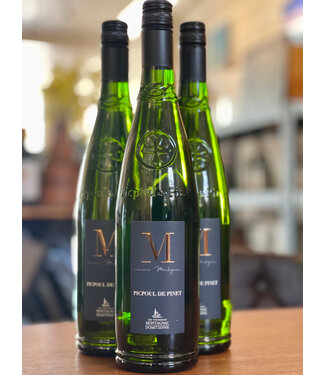 Domitienne Picpoul de Pinet 2023 Montagnac - Languedoc - France