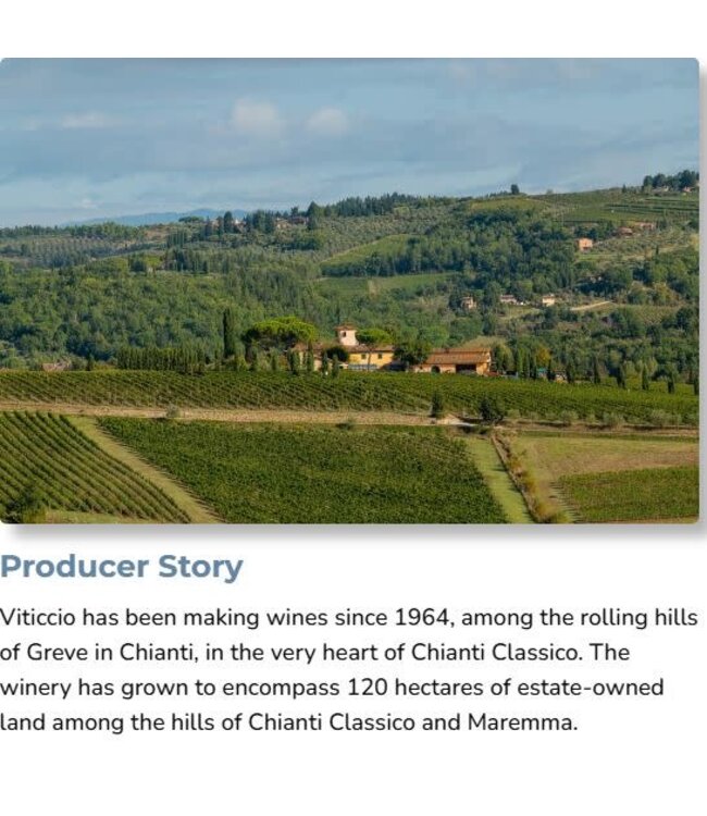 Fattoria Viticcio 'Sospetti' Rosso Toscana 2022 Tuscany -  Italy