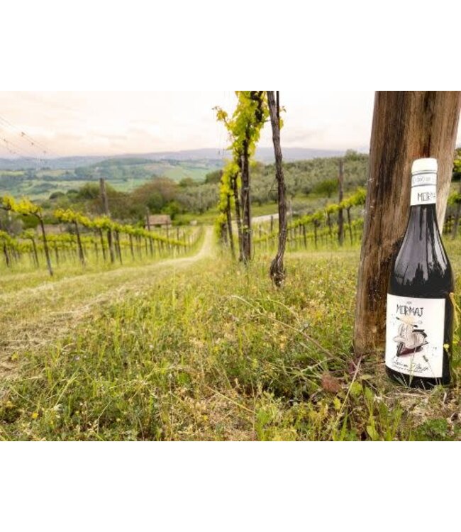 Mormaj 'Gio' 2021 Montepulciano D'Abruzzo - Italy