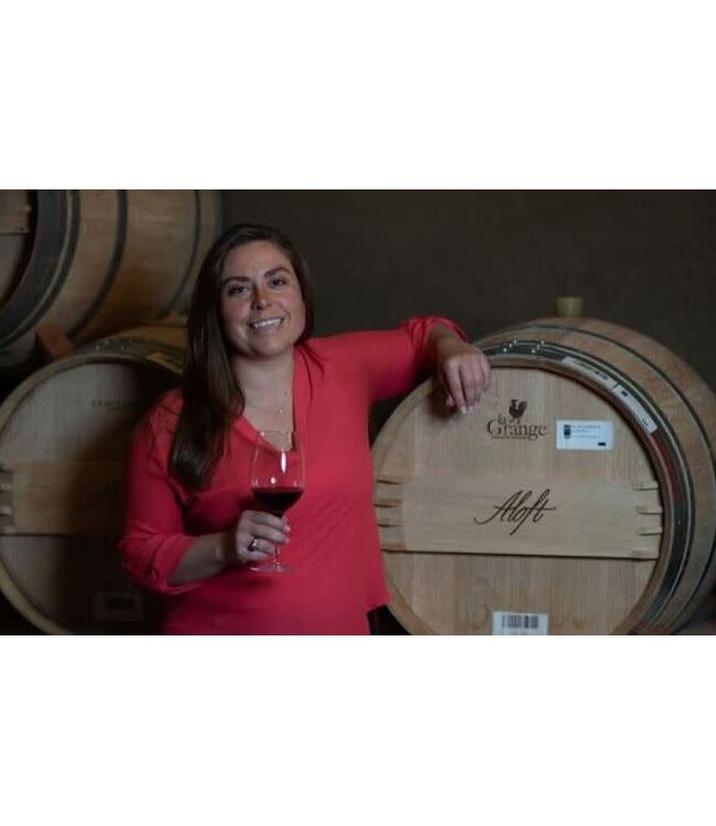 Aloft Cabernet Sauvignon Cold Springs Vineyard 2022 Howell Mtn. - Napa Valley