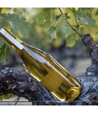 Humble Beginnings by Mondavi Sisters Chardonnay 2024 Russian River Valley