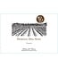 Dominio del Soto by M. Chapoutier Crianza 2018 Ribera del Duero - Spain
