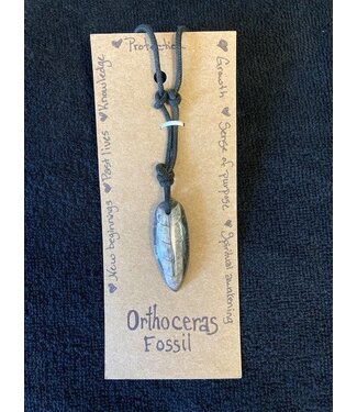 TannE Jewelry Designs Orthoceras Fossil Necklace
