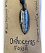 TannE Jewelry Designs Orthoceras Fossil Necklace