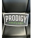 Prodigy Prodigy Disc Golf Sticker- Medium