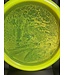 Innova Innova Champion Roc3 Yellow 180g Great Scott Back to the Future Limited Stamp (1540)