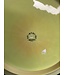 Mint Discs Mint Discs Swirly Apex Goat Yellow 169g Live Oak Brewery Co. First Run #AP-GT01-22 (1545)