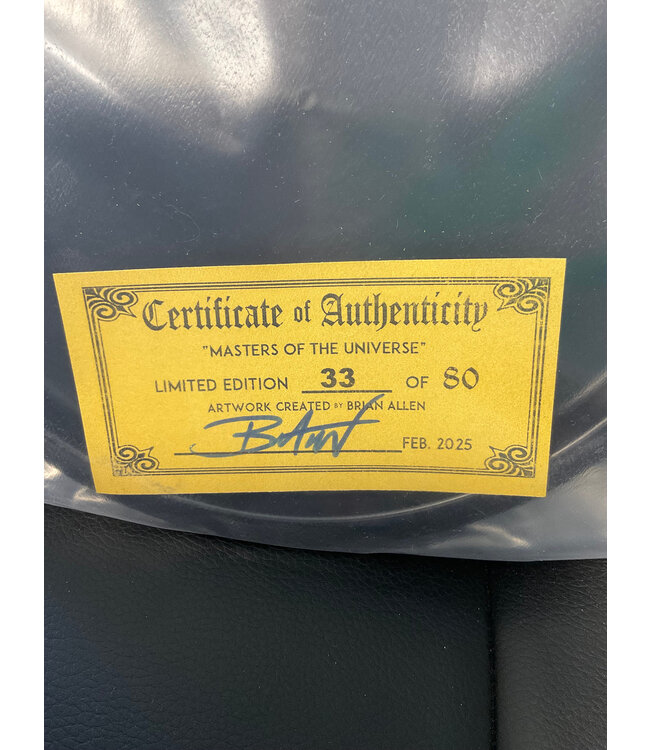 Discraft Discraft ESP Buzzz Full Foil 177g+ Brian Allen February 2025 He-Man Masters of the Universe Tribute SIGNED 33/80 (1576)