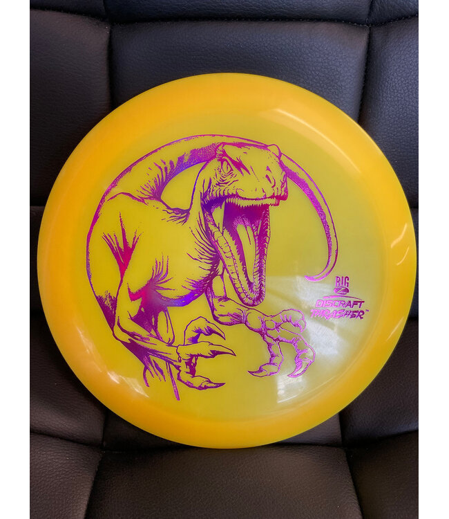Discraft Discraft Big Z Thrasher