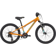 Cannondale 2021 Cannondale Trail 20"