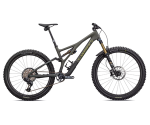 S works stumpjumper 2010 hotsell