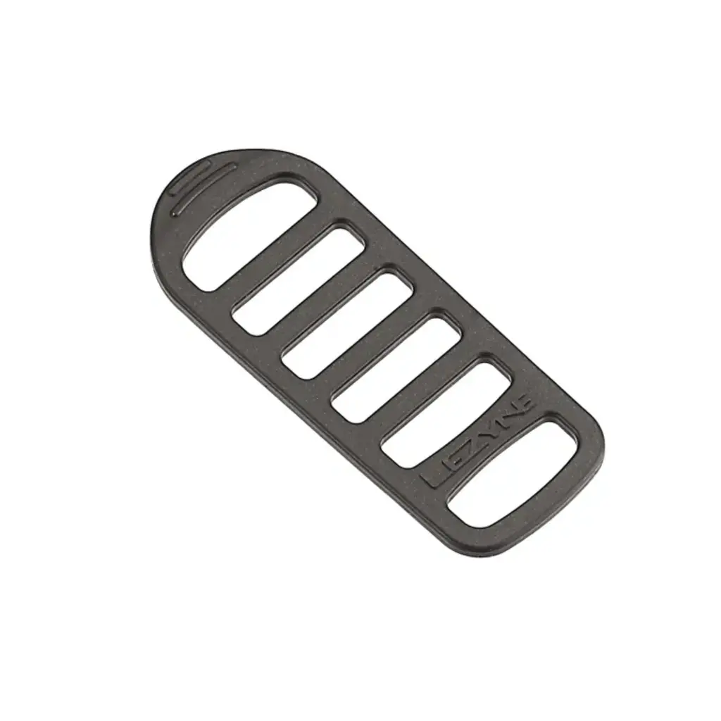 Lezyn Mounting strap