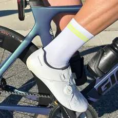 Society Society Classic Stripe Socks