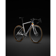 2025 S-Works Tarmac LTD Bora x Red Bull