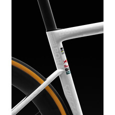 2025 S-Works Tarmac LTD Bora x Red Bull
