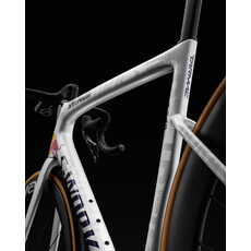 2025 S-Works Tarmac LTD Bora x Red Bull