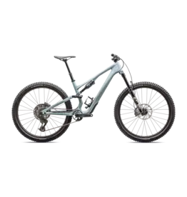 2025 Specialized Stumpjumper 15 Comp