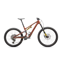 2025 Specialized Stumpjumper 15 Öhlins Coil