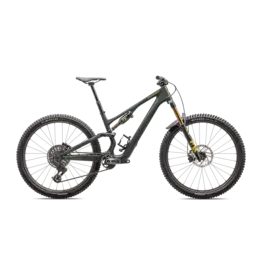 2025 Specialized Stumpjumper 15 Pro