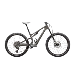 2025 Specialized Stumpjumper 15 Expert