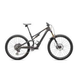 2025 S-Works Stumpjumper 15