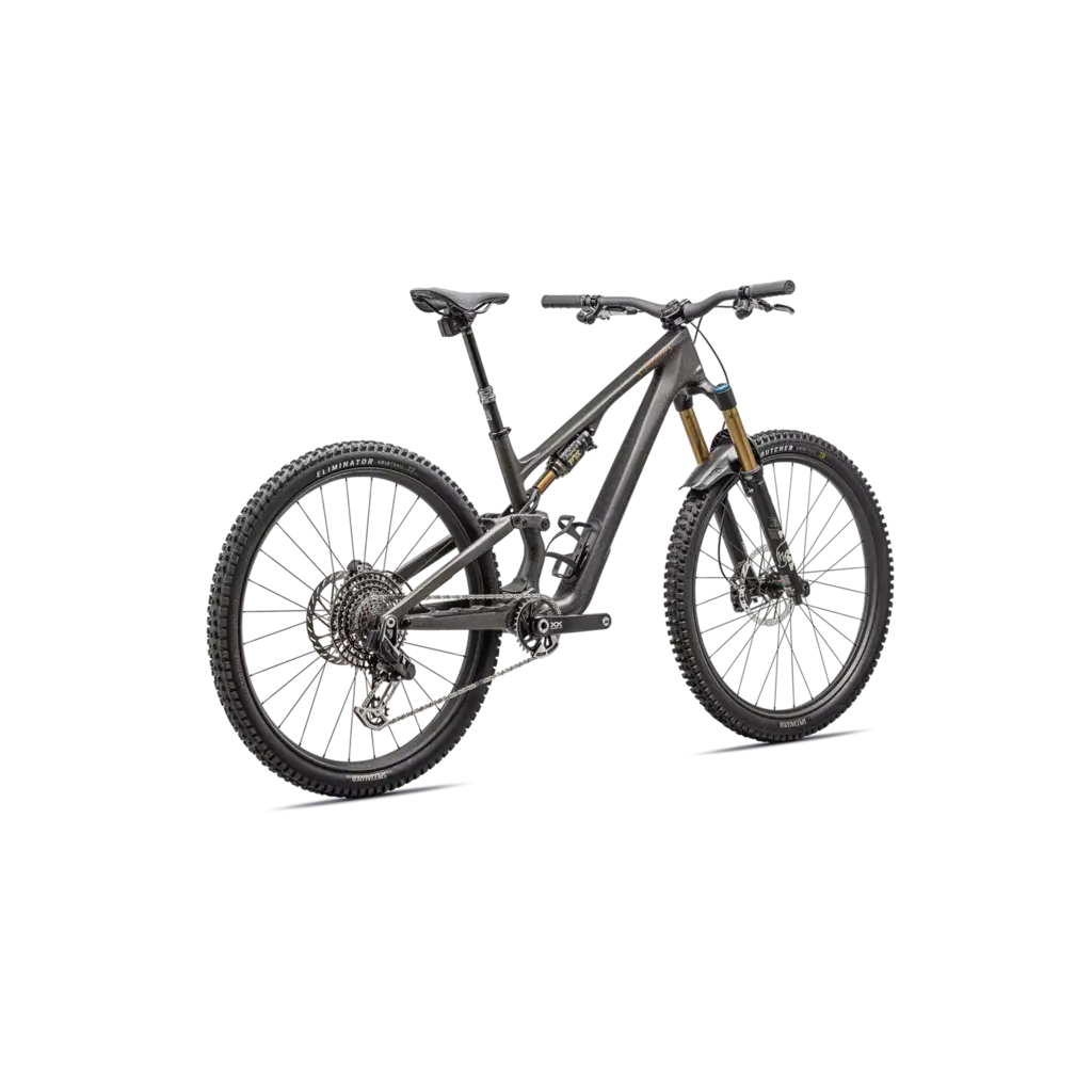 2025 S-Works Stumpjumper 15