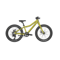 Scott 2024 Scott Roxter 20