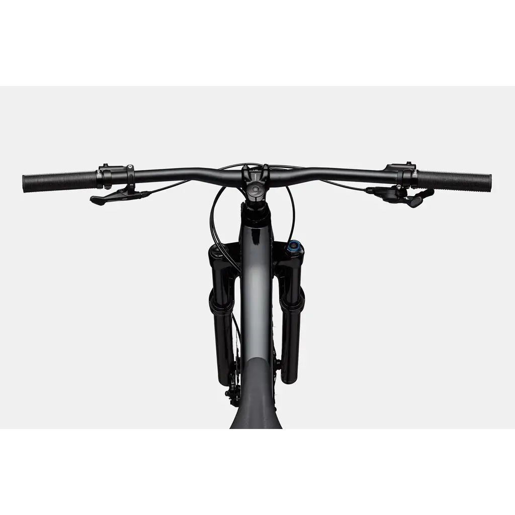 Cannondale Cannondale Habit 4