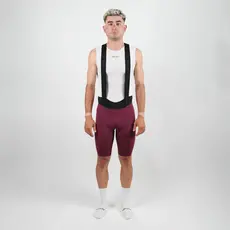 Society Society Mens Elevate++ Bib Shorts