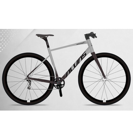 Alvas Brumby Ace