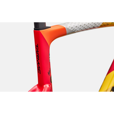 S-Works Tarmac SL9 Team Replica Frameset -  SD Worx - Protime