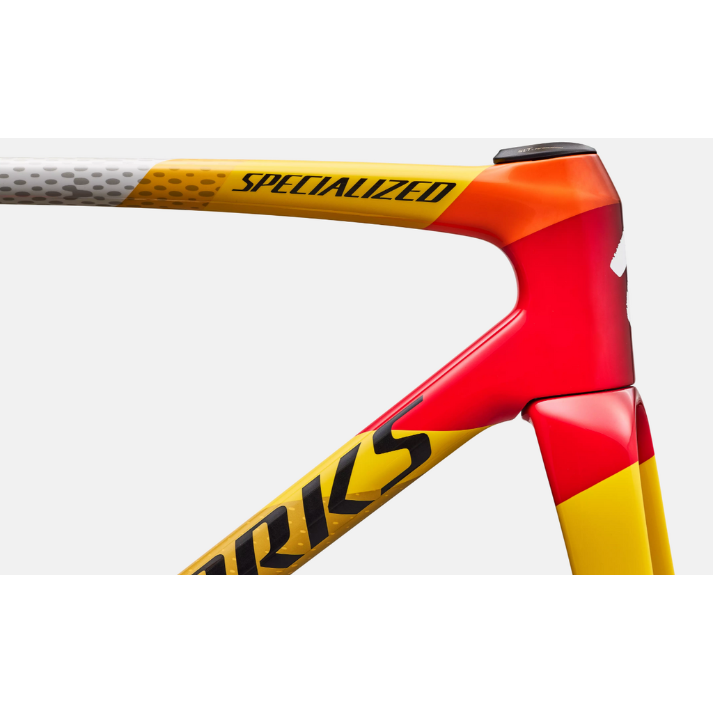 S-Works Tarmac SL9 Team Replica Frameset -  SD Worx - Protime