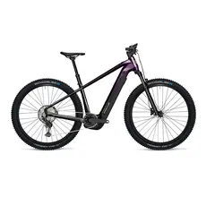 Focus 2026 Focus Jarifa 2 6.7
