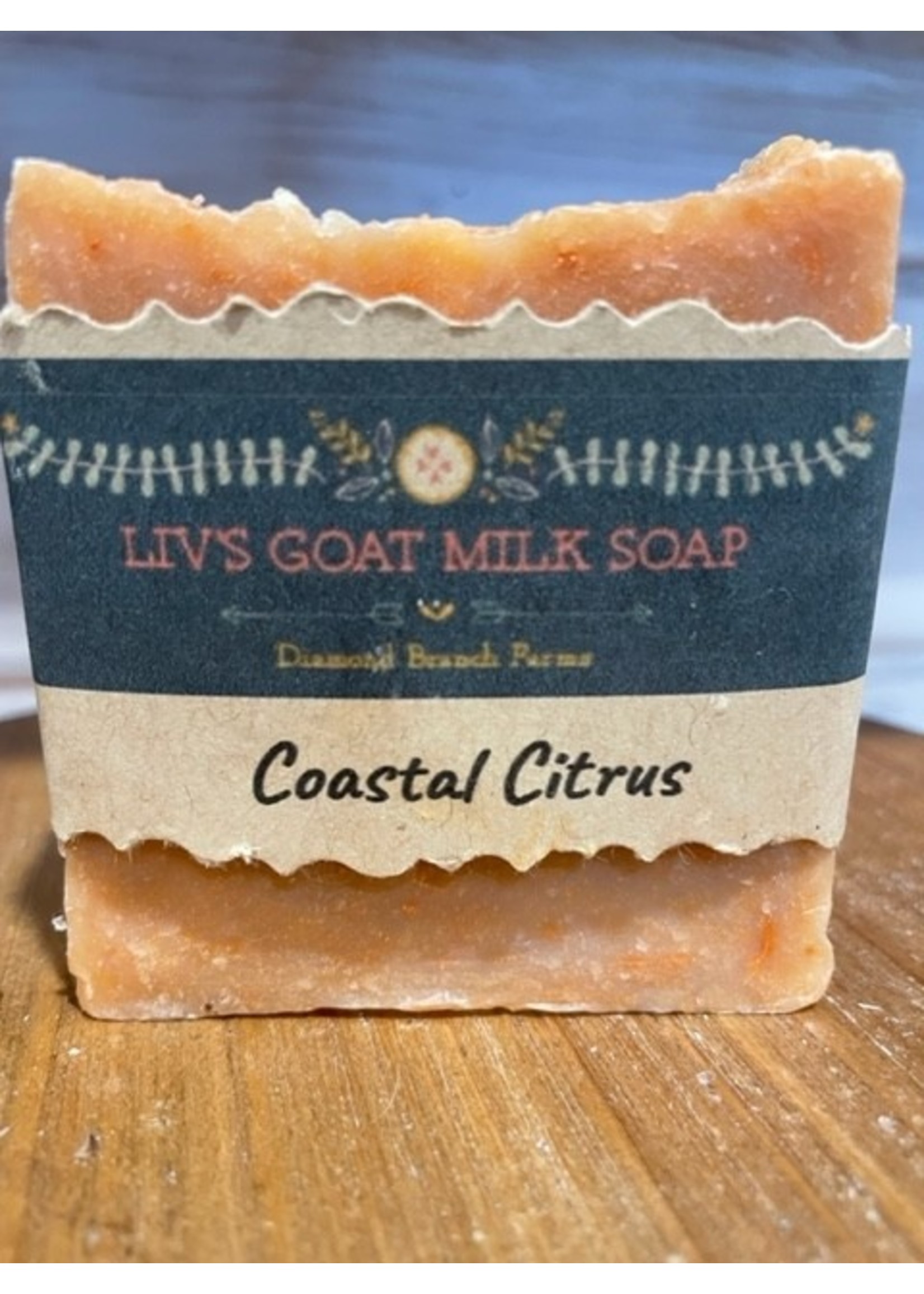 Goat Milk Soap Coastal Citrus