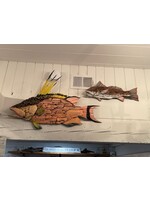 Driftwood Hogfish Snapper
