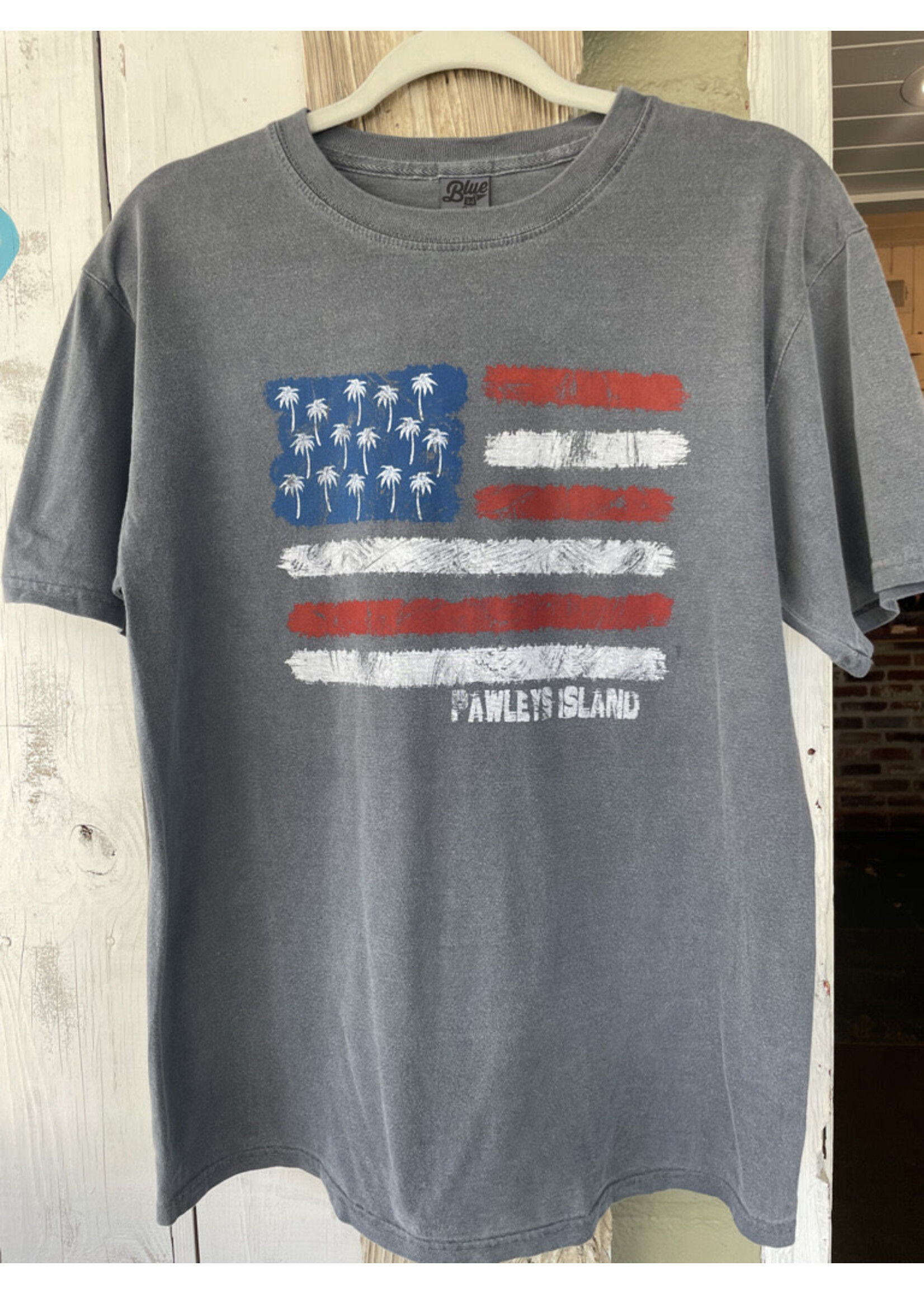 Harsh Turn US Flag Tee