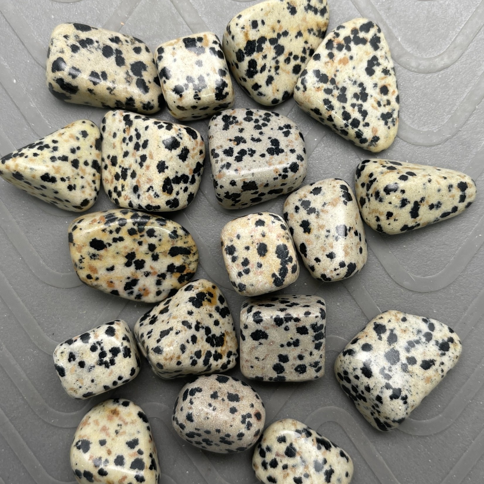 Dalmatian Tumbles - Small (5 Grams)