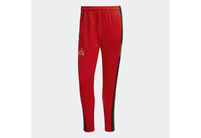 adidas Salah Squadra Training Pants - Vivid Red
