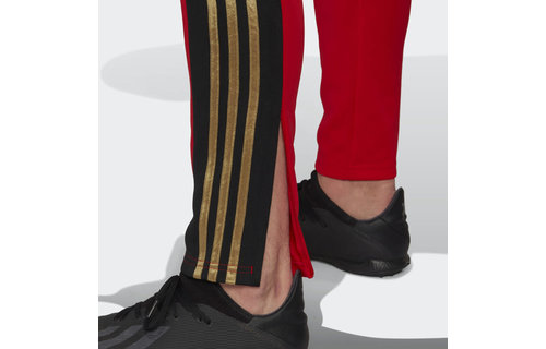 adidas Salah Squadra Training Pants - Vivid Red