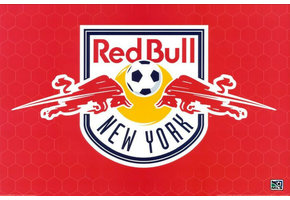 New York Red Bull 26 x 34 MLS Soccer Badge Poster
