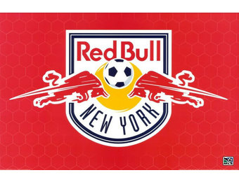 New York Red Bull 26 x 34 MLS Soccer Badge Poster
