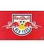 New York Red Bull 26 x 34 MLS Soccer Badge Poster