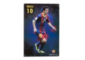 Lionel Messi - FC Barcelona 2010 - 2011 Soccer Poster Season