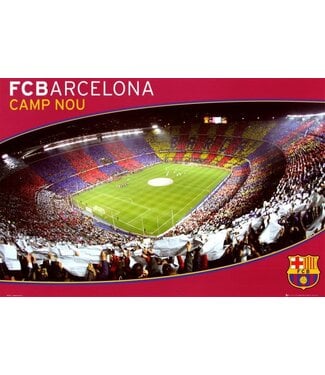 FC Barcelona Stadium 26 x 34 Camp Nou Poster