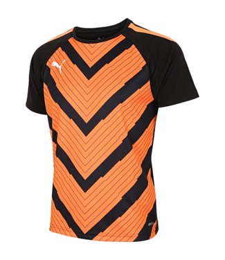 Puma Puma DryCell teamLiga Graphic Training Jersey - Black / Neon Citrus