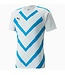Puma Puma DryCell teamLiga Graphic Training Jersey - White /Ocean Dive