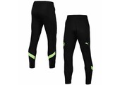 Puma Manchester City 2022-23 Training Pants - Black/Fizzy Light
