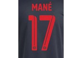 Mane # 17 Bayern Munich 22/23 Third Nameset - Red